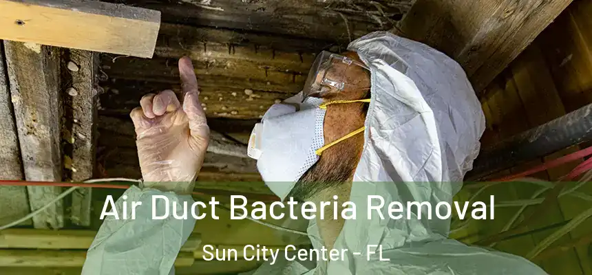 Air Duct Bacteria Removal Sun City Center - FL