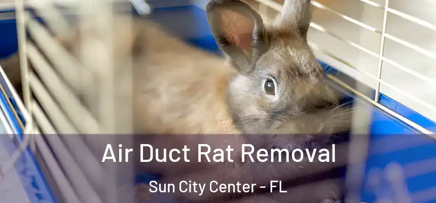 Air Duct Rat Removal Sun City Center - FL