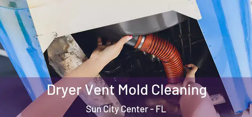 Dryer Vent Mold Cleaning Sun City Center - FL