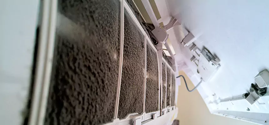 Preventive Air Duct Bacteria Removal in Sun City Center