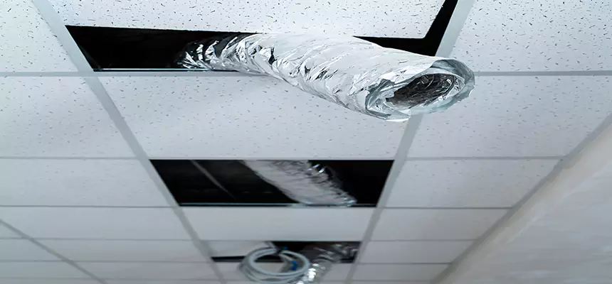 Our Air Duct Pet Hair Removal Services in Sun City Center, FL