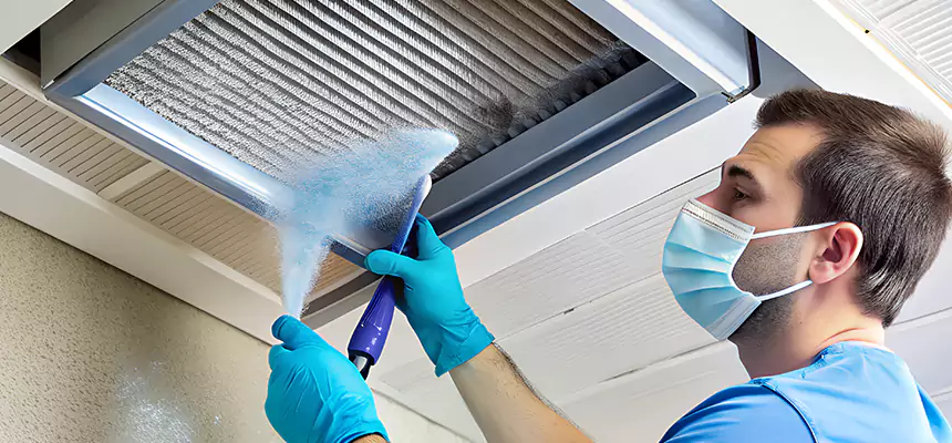 Proactive Dryer Vent & Auxiliary Duct Pollen Cleanup in Sun City Center, FL