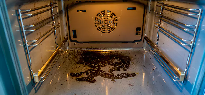 Our Dryer Vent Mold Cleaning Services in Sun City Center, FL