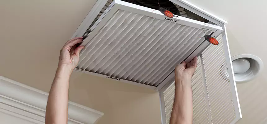 Our Insect Removal from Air Ducts Services in Sun City Center, FL