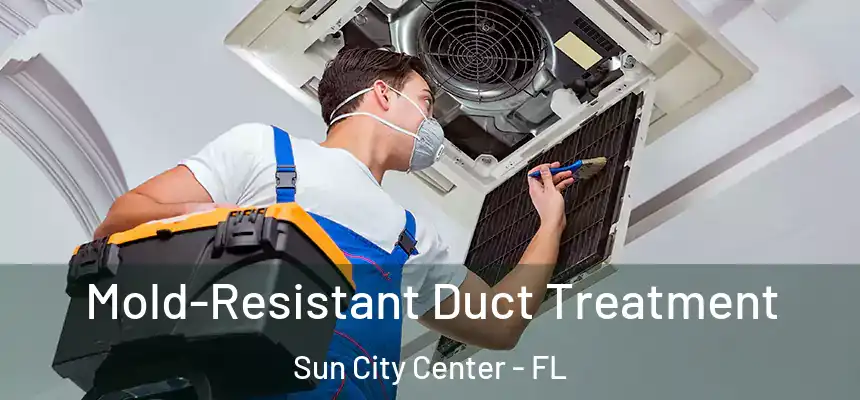 Mold-Resistant Duct Treatment Sun City Center - FL