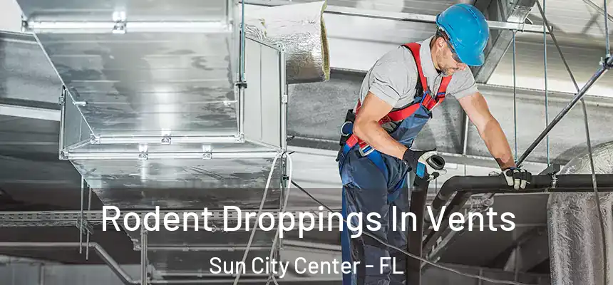  Rodent Droppings In Vents Sun City Center - FL