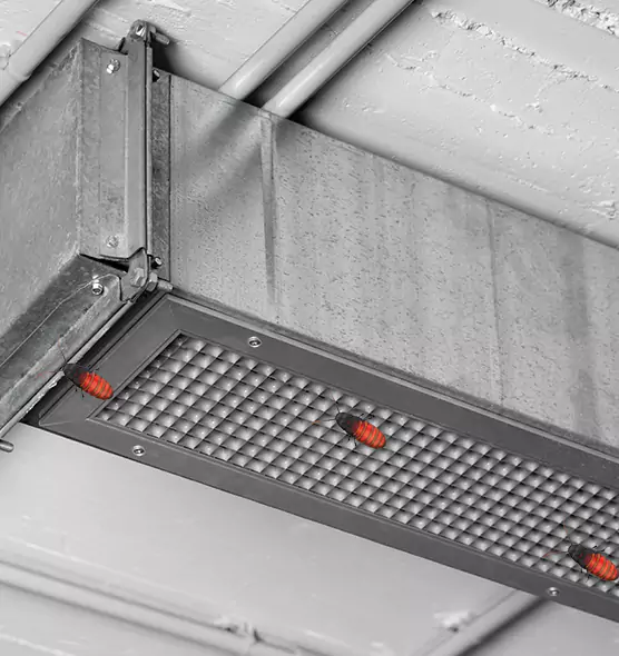 About Air Duct Cockroach Removal in Sun City Center, FL