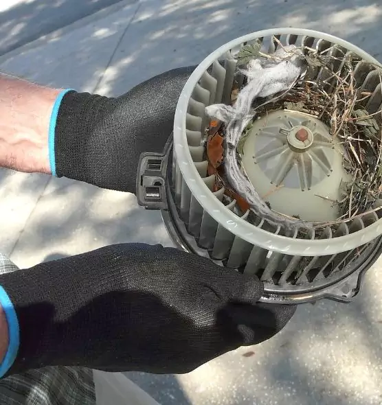 About Air Duct Mice Removal in Sun City Center, FL