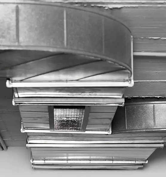 Professional Air Duct Pest Removal in Sun City Center, FL