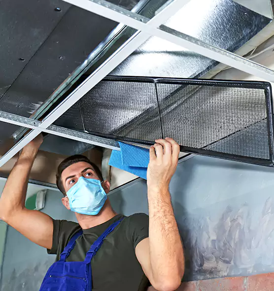 Professional Air Duct Pollen Cleaning in Sun City Center, FL
