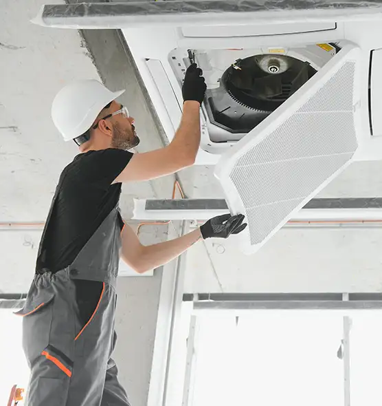 About Air Duct Rodent Removal in Sun City Center, FL