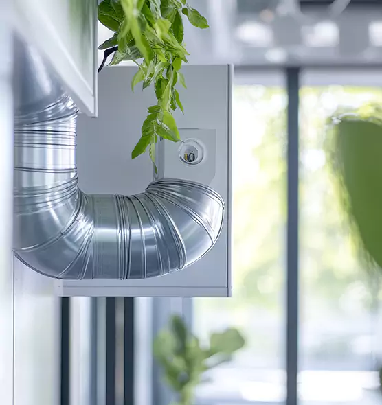 Professional Eco-Friendly Duct Cleaning Services in Sun City Center, FL