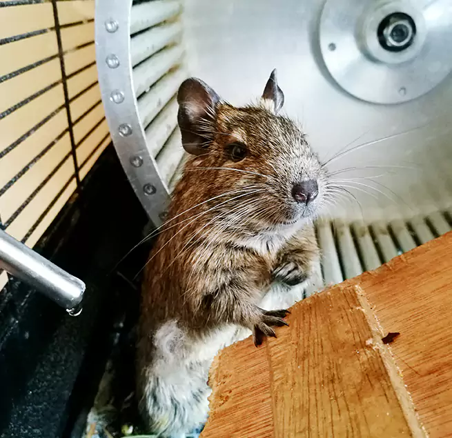 Why Homeowners & Businesses Trust Us Sun City Center, FL