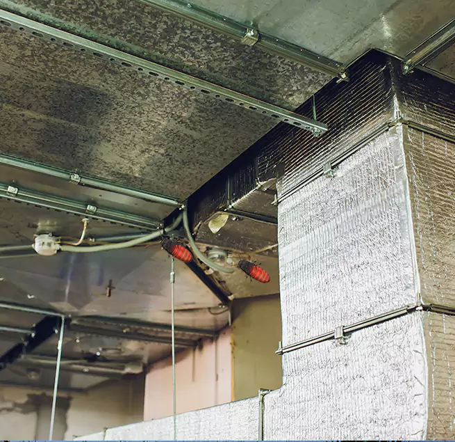 Why Homeowners & Businesses Trust Us Sun City Center, FL?