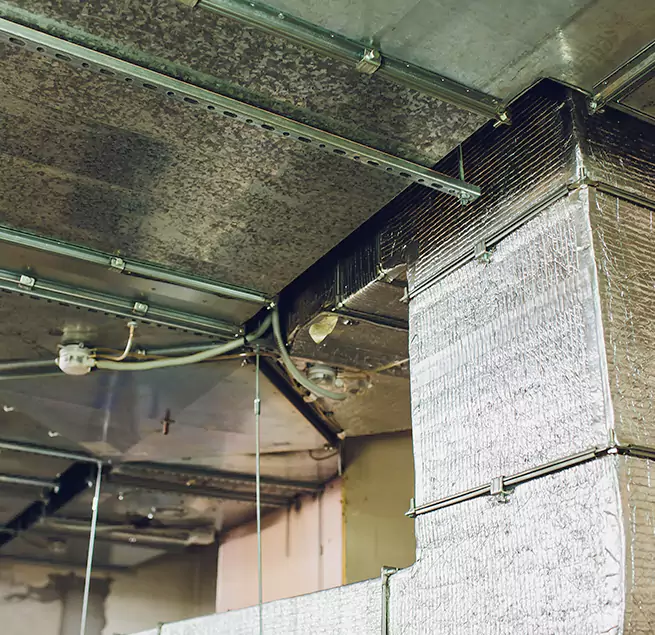 Why Homeowners & Businesses Trust Us in Sun City Center, FL?